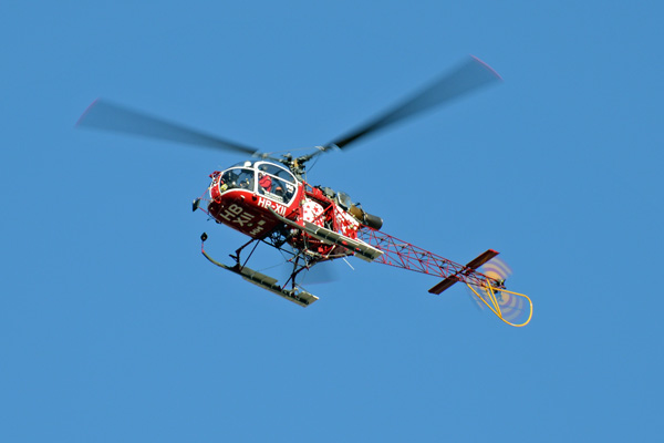 HB-XII