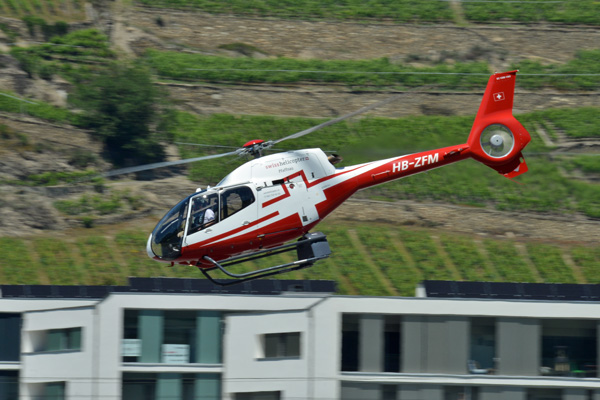 HB-ZFM